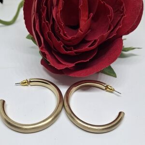 Elegant Gold Hoop Earrings